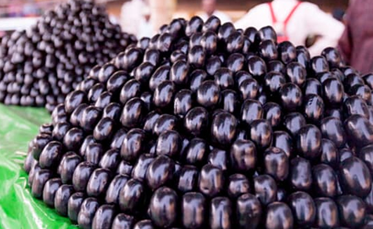 Jamun-healthbenefits.jpg