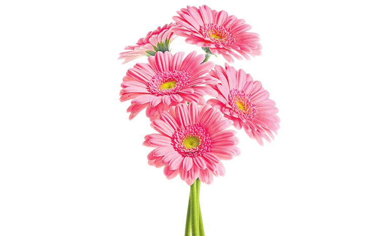 flowers.jpg