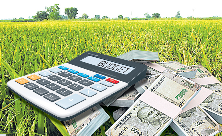 PADDY-BUDGET.jpg