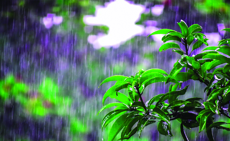 rain.jpg
