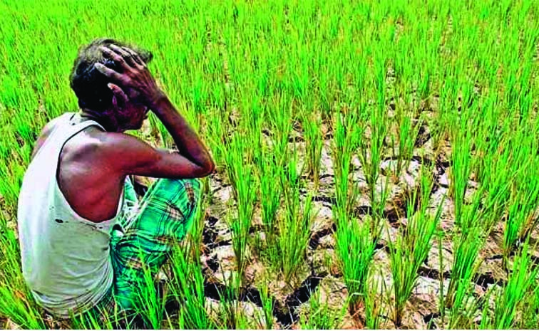 Farmers_26_23039_3B.jpg