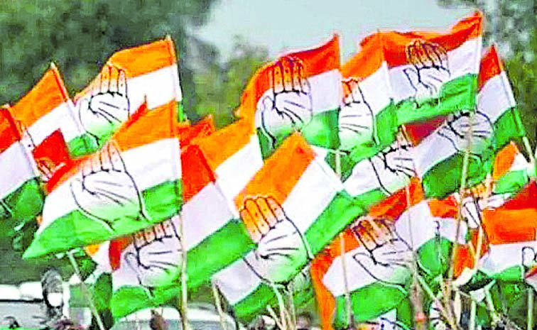 CONGRESS_20PARTY_20FLAGS_20_202.jpg