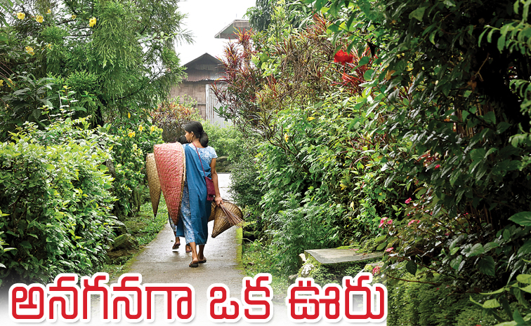 cover-story.jpg