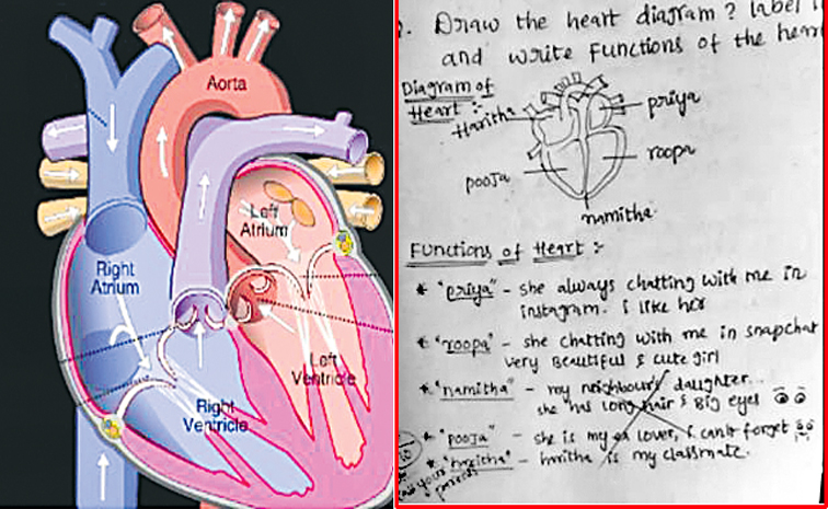 heart-of-functioning.jpg
