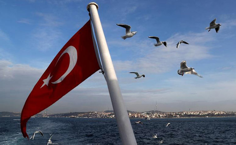 turkey.jpg