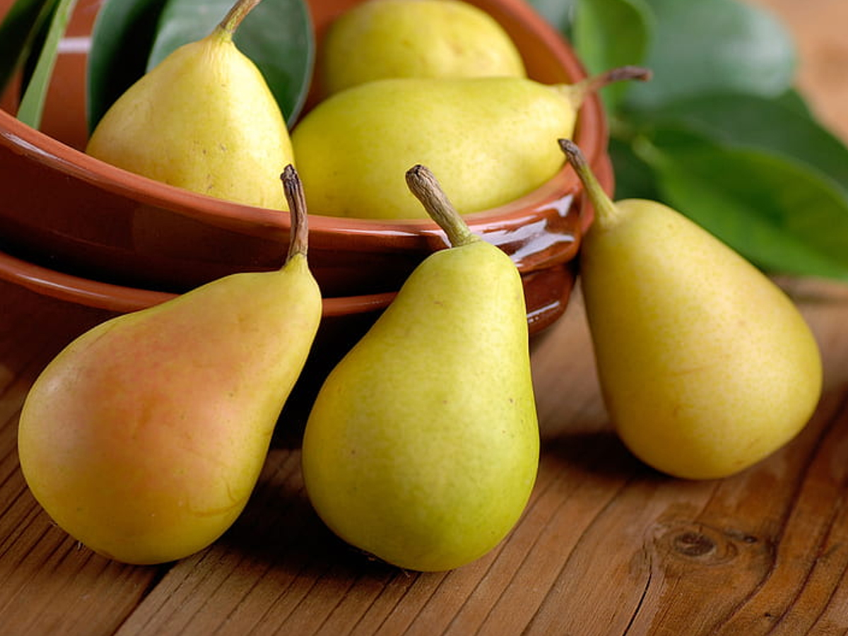 13.Pears_.jpg 14