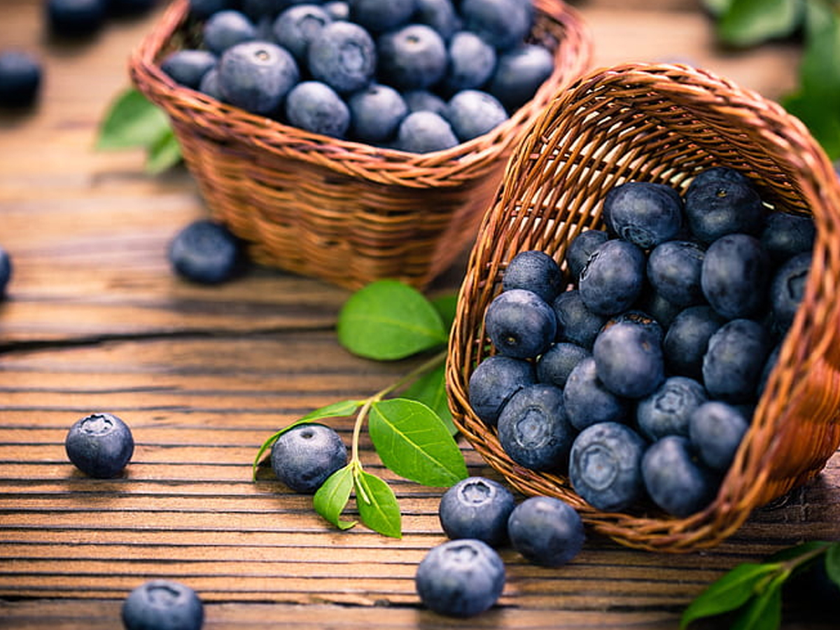 14.Blueberry.jpg 15
