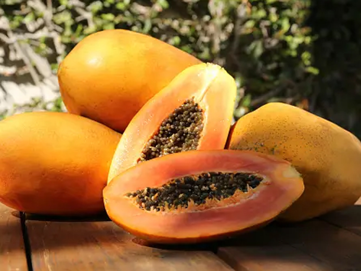 6.Papaya.jpg 7