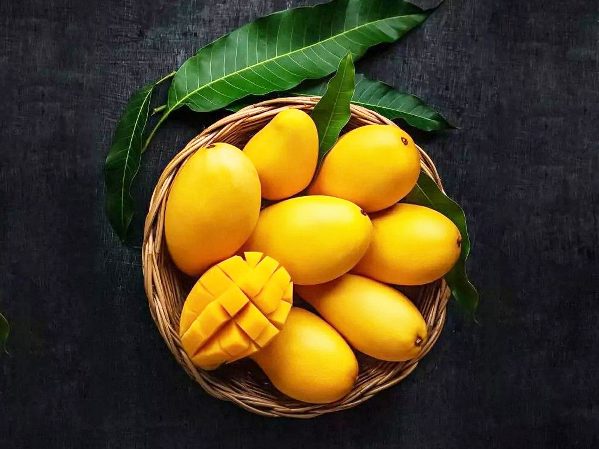 7.Mango_.jpg 8