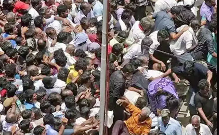 stampede.jpg
