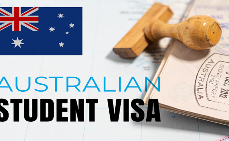 sus.jpg