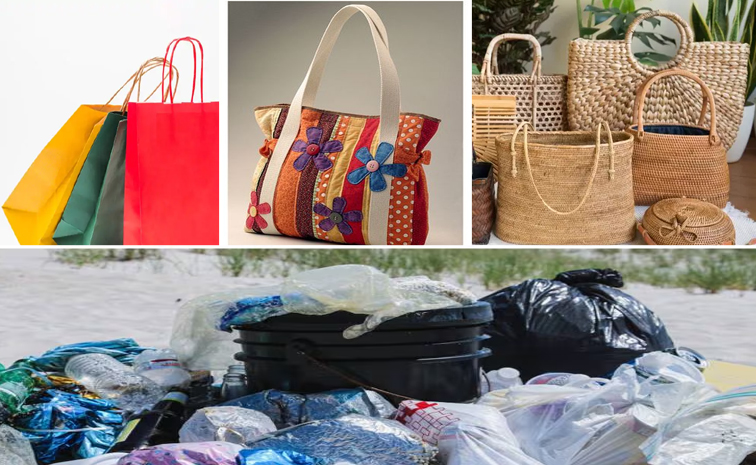 Plasticbagfree_july3rd.jpg