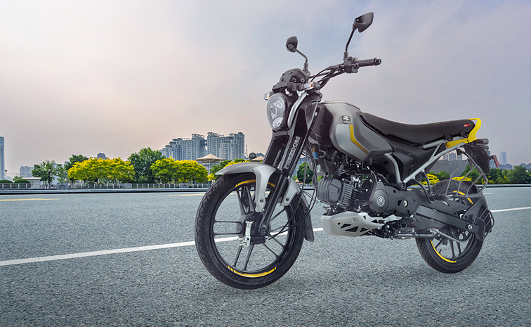 World_20First_20CNG_20Bike_20Bajaj_20Freedom_20125_20Photos_1_20_282_29.jpg 2