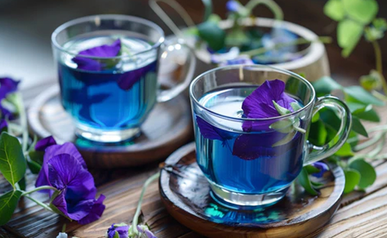 butterflypea_bluetea.jpg