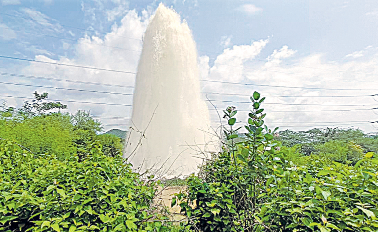 pattiseema.jpg