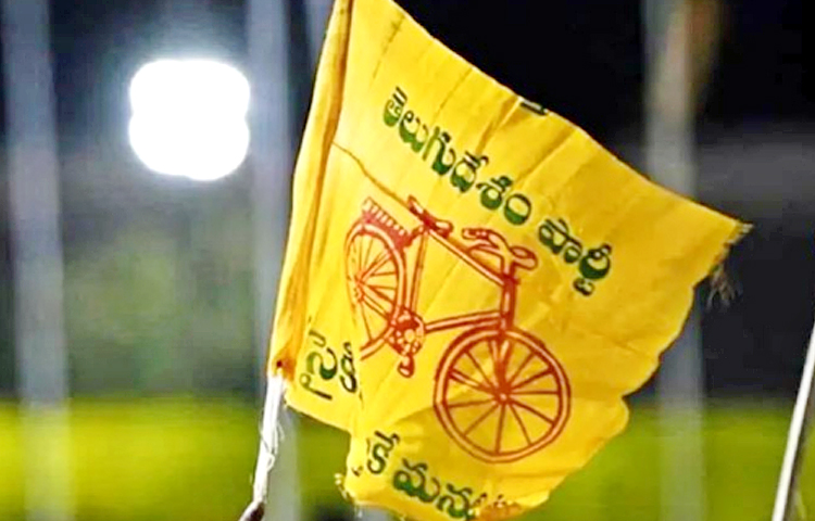 TDP-02.jpg