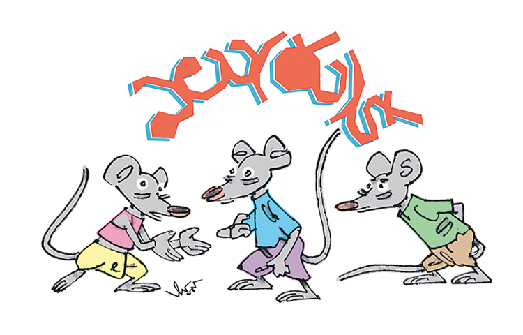 ratq.jpg