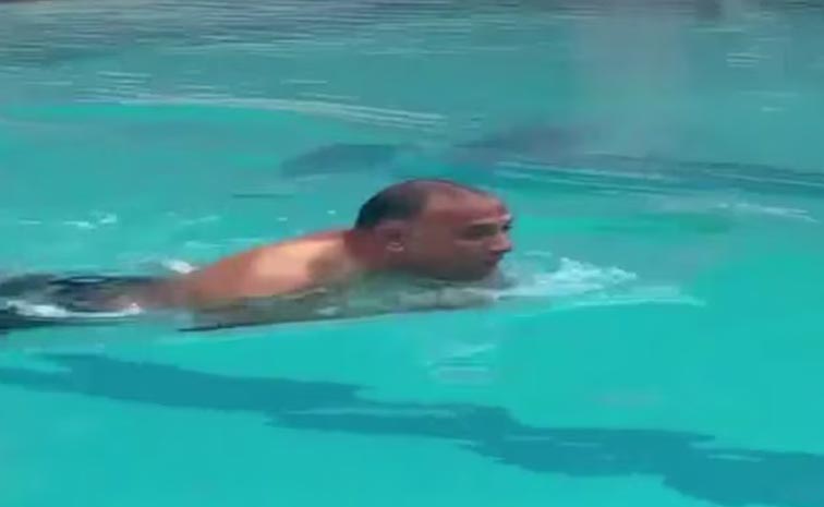 swimming.jpg