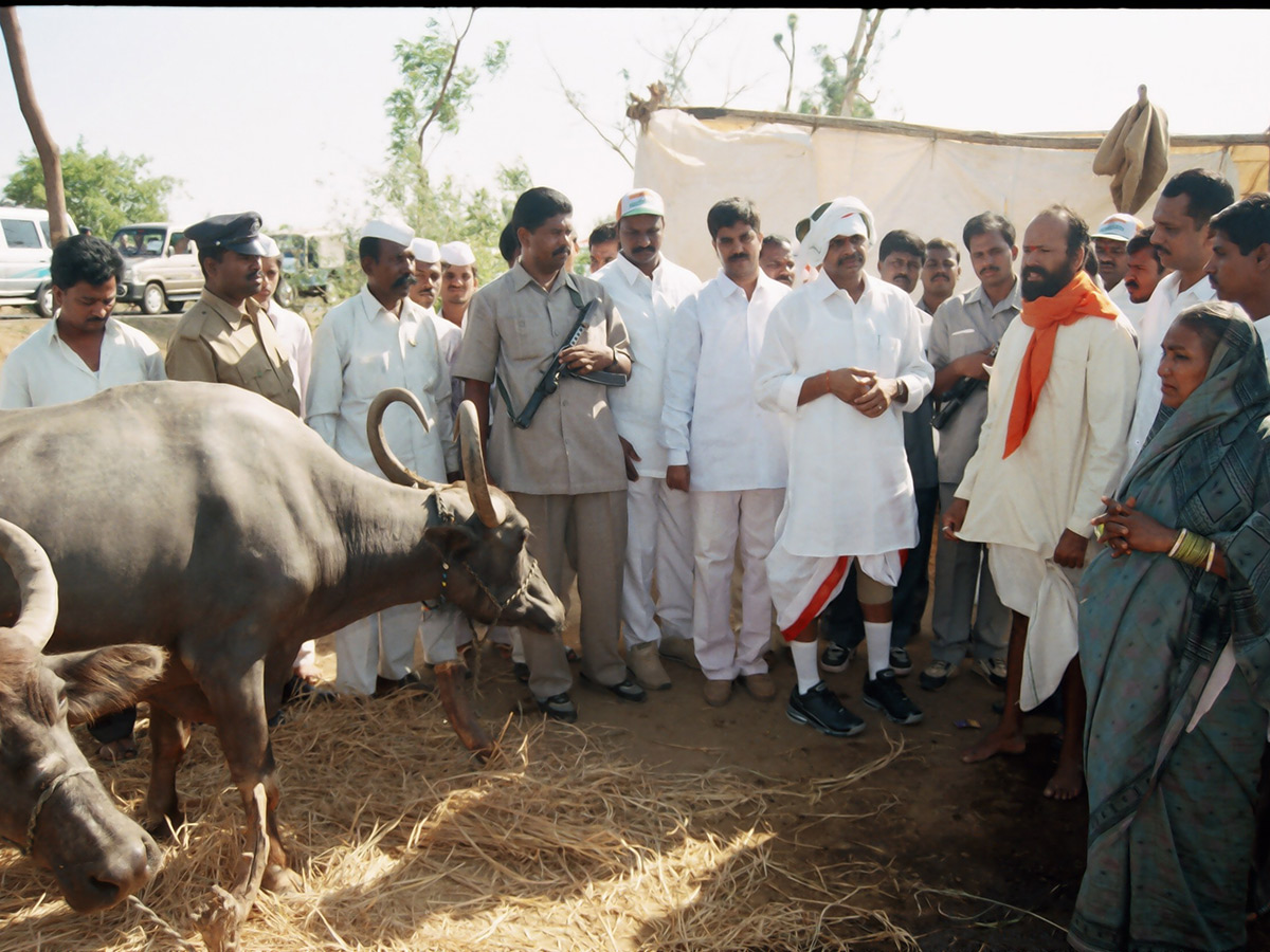 ysr-16_0.jpg 15