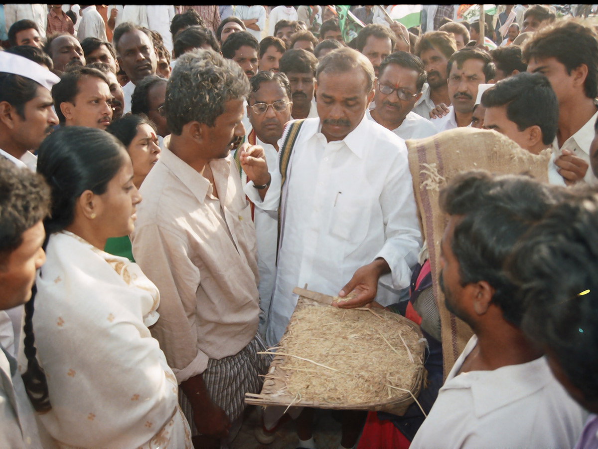ysr-24_0.jpg 23