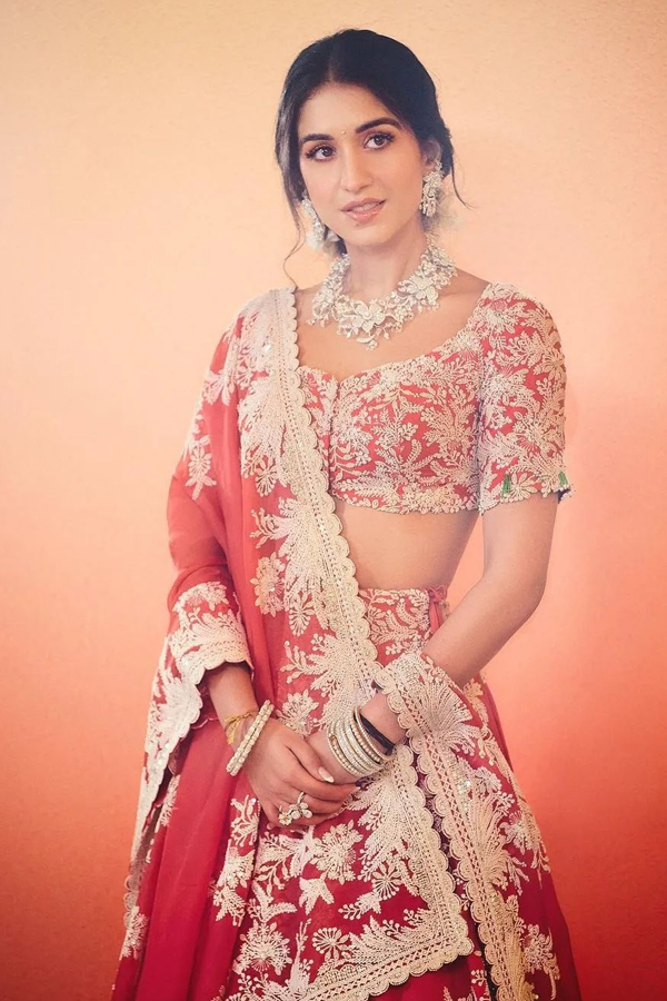 Ambani-Ladies-13.jpg 2