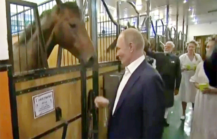 Putin.jpg