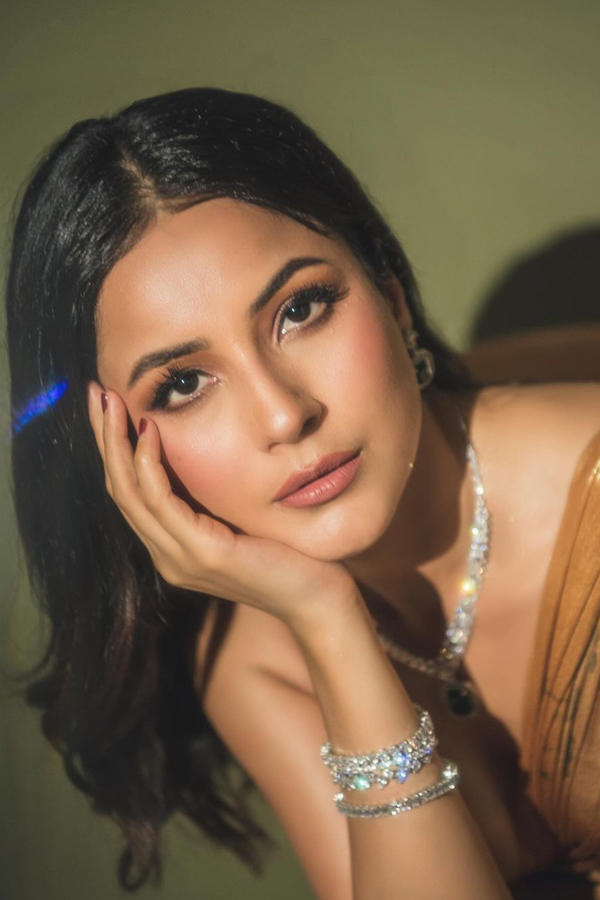 Shehnaaz-Gill-2.jpg 3