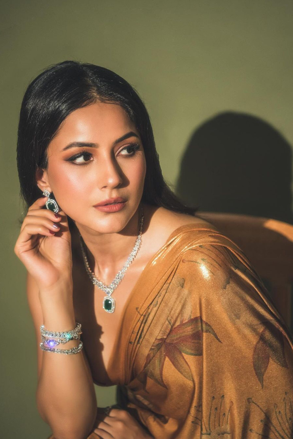 Shehnaaz-Gill-7.jpg 8