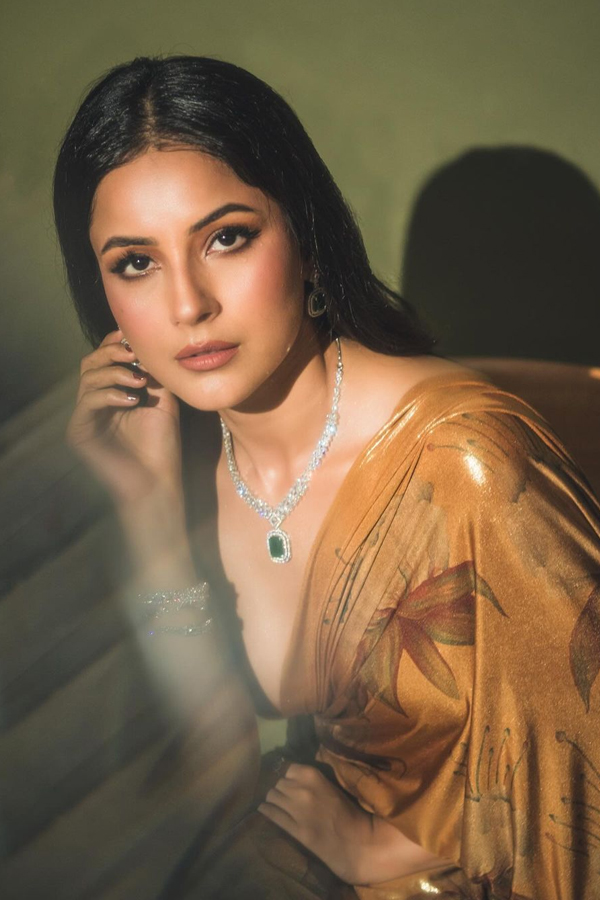 Shehnaaz-Gill-8.jpg 9