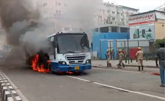 bus_1.jpg