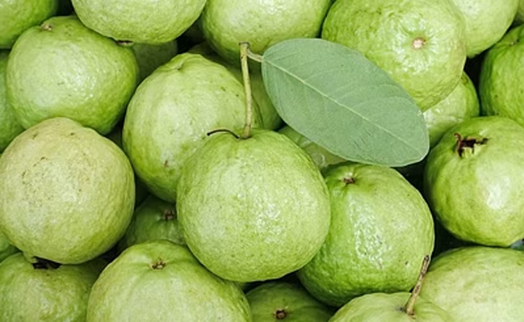 guava_healthbenefits-monsoon.jpg