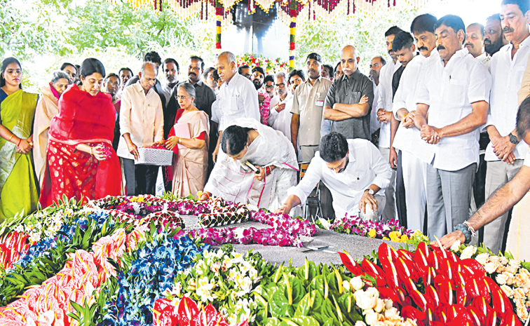 ysr_1.jpg