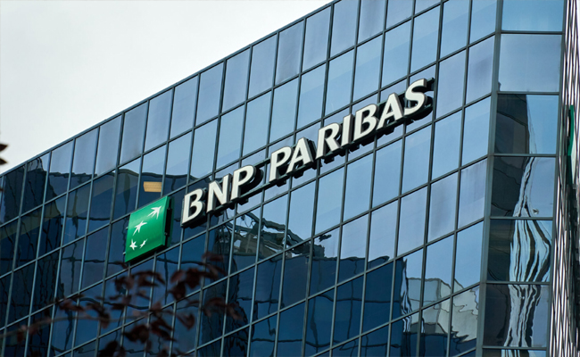 bnp01.jpg