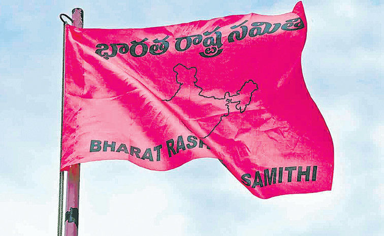 BRS-FLAG-1.jpg