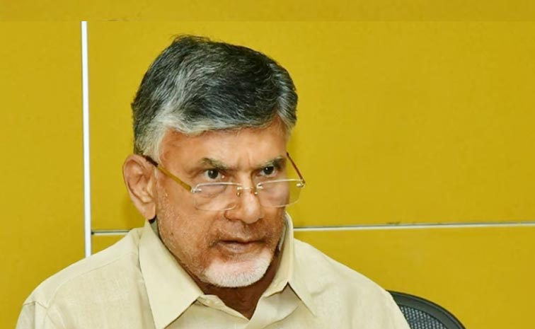 Chandrababu_Thalliki_Vandan.jpg