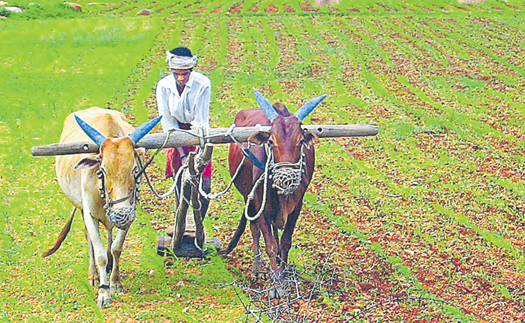 INDIA_FARMING.jpg