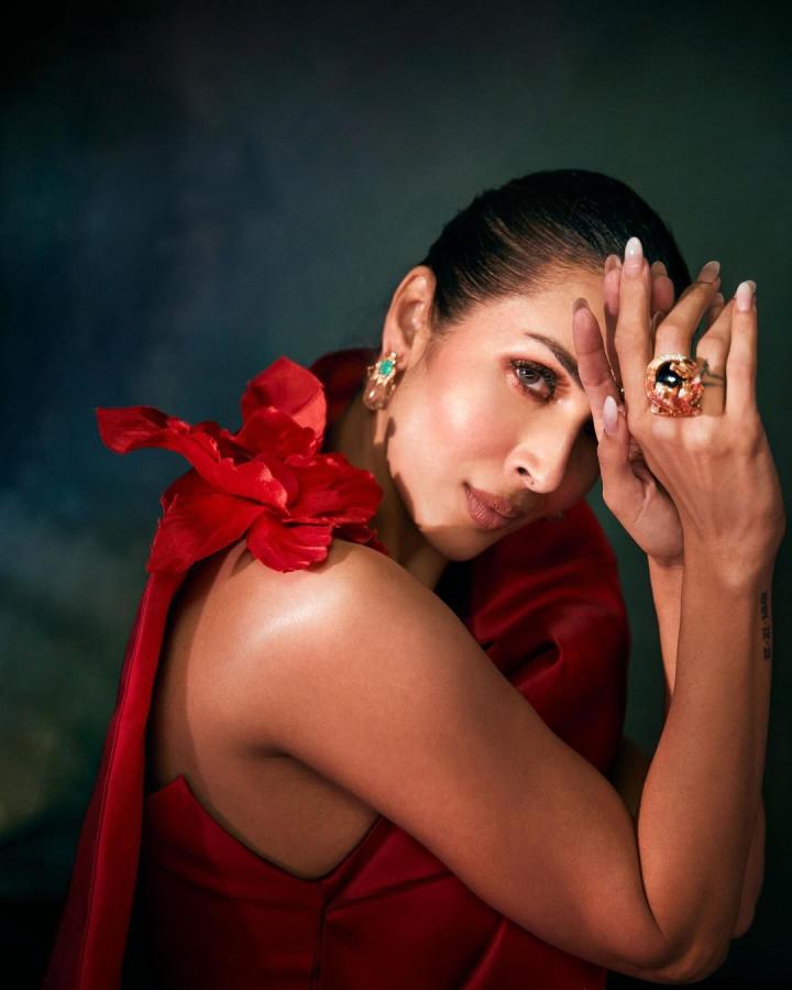 MalaikaArora-15_0.jpg 15