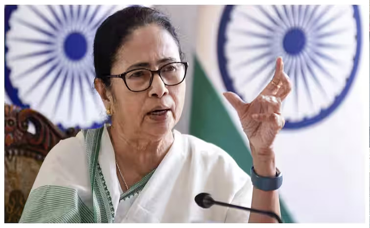 mamata_0.jpg