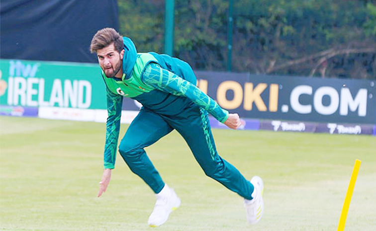 afridi3.jpg