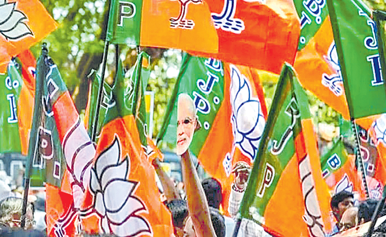 bjp_4.jpg