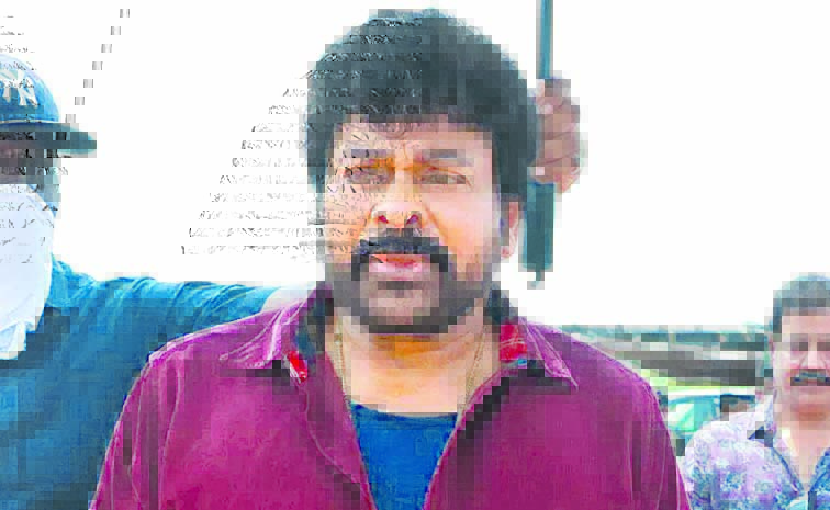 chiru_1.jpg