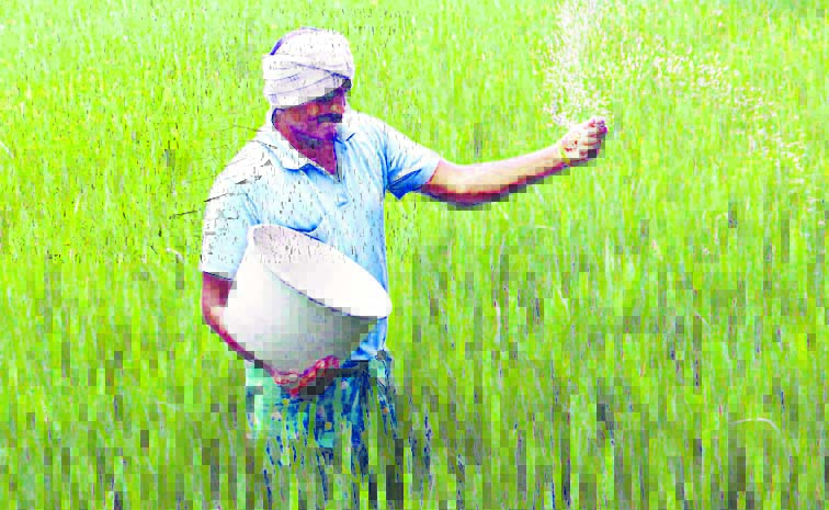 farmar.jpg