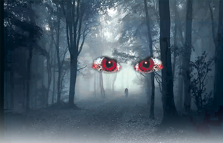 mistery.jpg