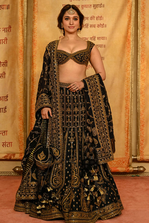 Anant_Radhika-Reception-5.jpg 8