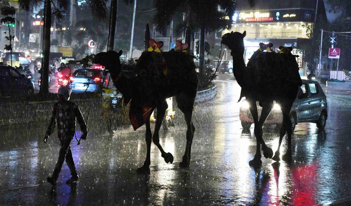 HYD-RAINS-33.jpg 33