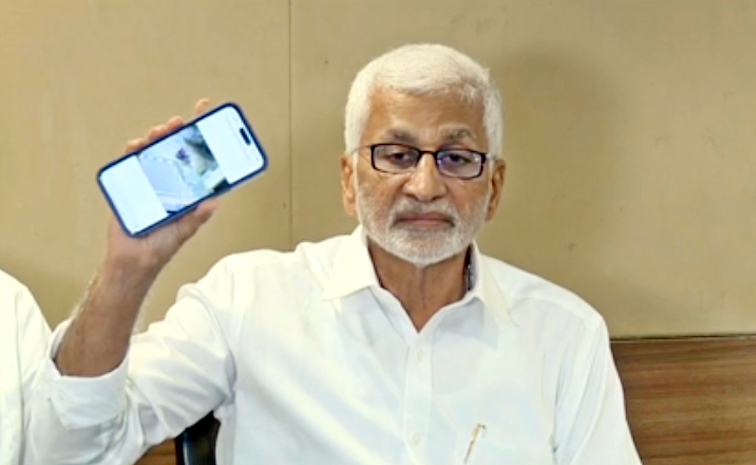 VijayaSaiReddy.jpg