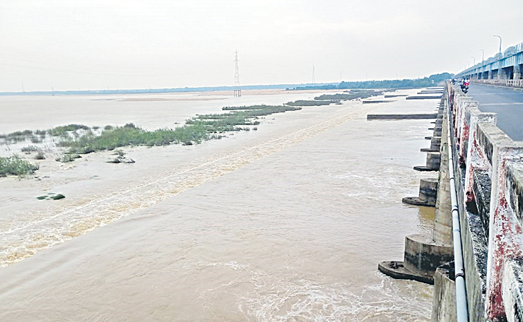 godavari_0.jpg
