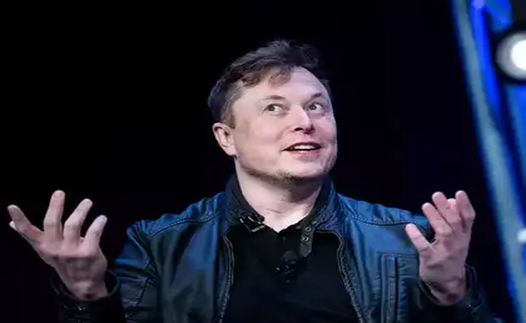 musk_0.jpg