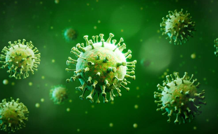 Chandipura_20Virus.jpg