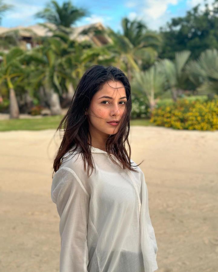 ShehnaazGill-15.jpg 15